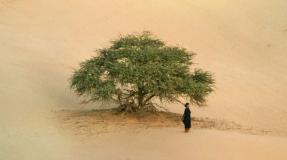 Abderrahmane Sissako's "Timbuktu" Film Screening